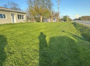 Mary C.'s Grass Cutting service result