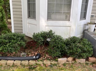 Bush Trimming by Kāäs Llc for Isha B. in Manassas, VA