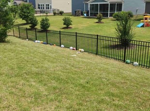 Marcia S.'s Lawn Service service result