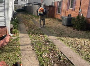 Leaf Removal by Curtis Stewart for Scott S. in Little Rock, AR