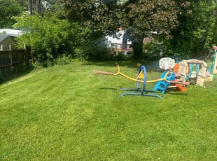 Nicolas A.'s Grass Cutting service result
