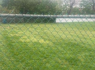 Leigh o.'s Lawn Service service result