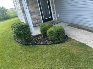 Bush Trimming by Ytali Chin for Rita S. in Whitestown, IN