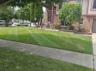 Kim W.'s Grass Cutting service result