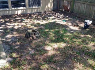 Leaf Removal by Will Rich for Chloe H. in Jacksonville, FL