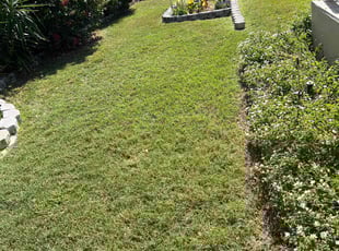 Curt C.'s Yard Cutting service result
