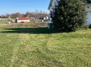 Lori H.'s Lawn Care service result
