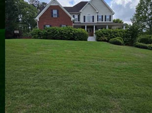 Joe D.'s Lawn Mowing service result