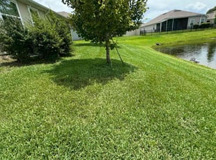 Steven E.'s Lawn Care service result