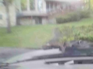 Cleanups by Bryan Carlton for Lori Z. in Zionsville, IN