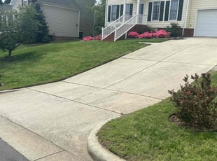 Judy T.'s Lawn Mowing service result