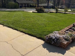 Meghan W.'s Lawn Mowing service result