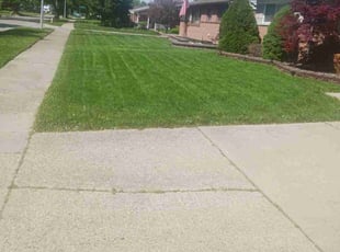 Mike M.'s Lawn Mowing service result