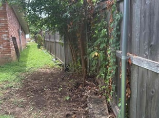 Kevin G.'s Bush Trimming service result