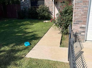 Torey V.'s Lawn Mowing Service service result