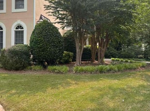 Annette H.'s Bush Trimming service result