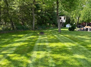 Kimberly M.'s Lawn Mowing service result
