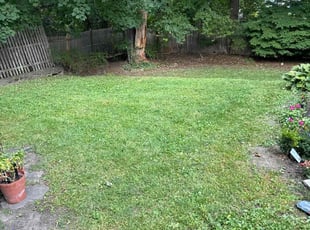 Antoinette M.'s Lawn Care service result