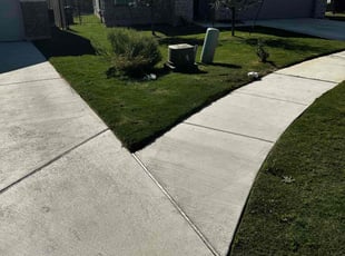 George or Cameron H.'s Lawn Service service result