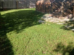 Robert M.'s Lawn Care service result