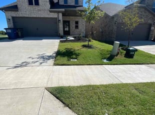 Trisha May C.'s Lawn Service service result