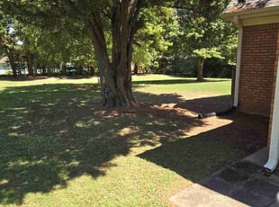 Bridgett T.'s Lawn Care service result
