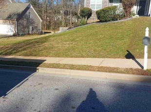 Andrew H.'s Lawn Care service result