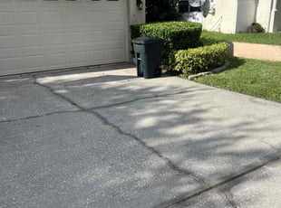 Bush Trimming by M&C Lawn Pro Services, LLC for Ken D. in Orlando, FL