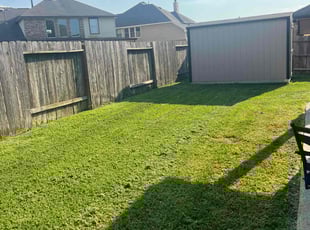 Jared D.'s Lawn Mowing service result