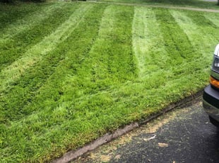 Joseph M.'s Lawn Service service result