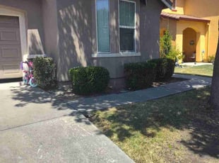 Bush Trimming by Ajai Narayan for Marie C. in Sacramento, CA