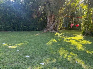 Jason F.'s Lawn Care service result