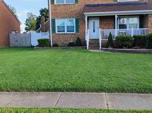 Brooks D.'s Lawn Mowing service result