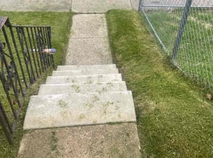 George B.'s Lawn Maintenance service result