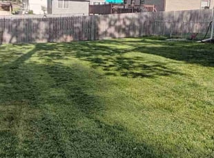 Derrell H.'s Lawn Maintenance service result