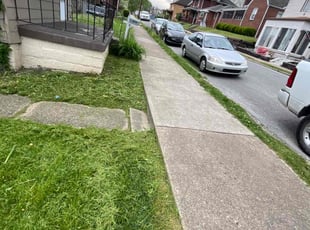 Angela G.'s Lawn Service service result
