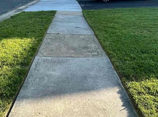 Ted K.'s Lawn Mowing service result