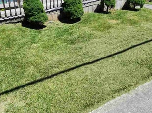 Gregory B.'s Lawn Care service result
