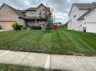 Rong S.'s Lawn Service service result