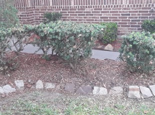 Weeding by Joseph Wanjigi for Jordan R. in Rosenberg, TX