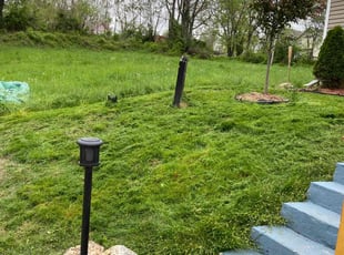 Bush Trimming by Sedrick Wesley for Anderson M. in Kansas City, MO