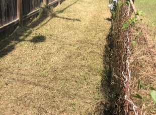 Cleanups by Derrick Koontz for Anna P. in Houston, TX