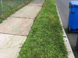Mary D.'s Yard Cutting service result