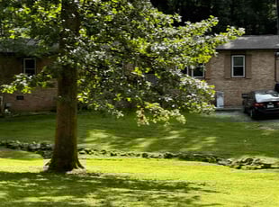 Beth N.'s Lawn Service service result