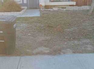 Leaf Removal by Shane Thiel for Anquenette Y. in Hemet, CA