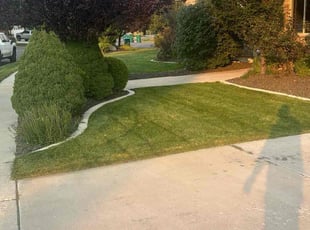 Todd L.'s Lawn Service service result