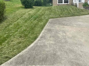 Danny D.'s Lawn Mowing Service service result