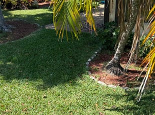 Brad S.'s Lawn Maintenance service result