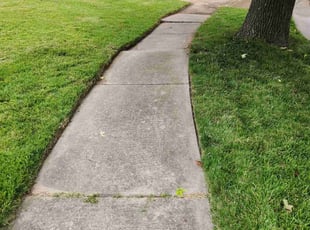 Karen W.'s Lawn Service service result
