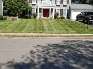 Dave B.'s Lawn Care service result